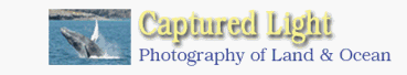 CapturedLight-link
