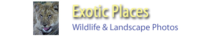 B2ExoticPlaces-link