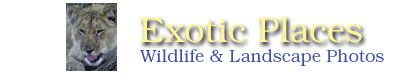 B2ExoticPlaces-link