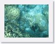 Aquarium12