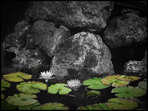 fountain-of-learning-plant-hall-university-of-tampa-david-beebe.html