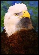 Pasted Graphic