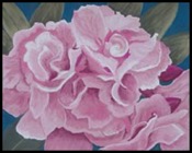 san-salvador-floral-patricia-beebe