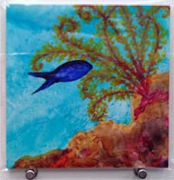 5x5Reef