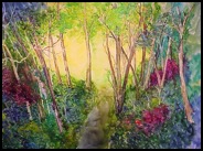 foresttrail