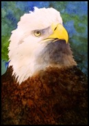 Pasted Graphic