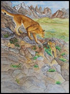 patagonia-pumas-patricia-beebe