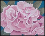 san-salvador-floral-patricia-beebe