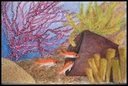 softcoral