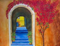 baja-bougainvillea-patricia-beebe.html