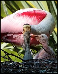 love-you-mom-david-beebe.html