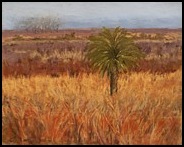 paynes-prarie-patricia-beebe