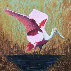 rosie-patricia-beebe.html