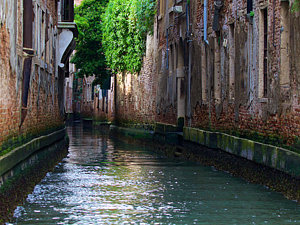 side-canal-david-beebe.html