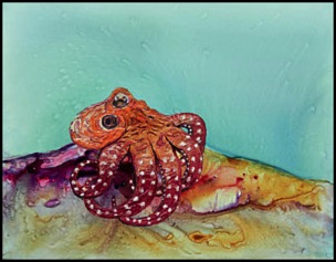 tar-gel-octo-iii-patricia-beebe.html