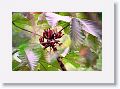 Tinalandia-062
