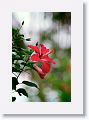 Tinalandia-064