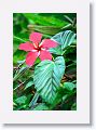 Tinalandia-065