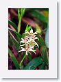 Tinalandia-066