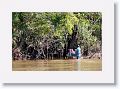 Late afternoon brings us to another flooded forest adventure. In dry season, we would hike from here to Grass Pond where we would get into dugout canoes.