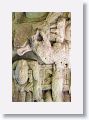 Stela M