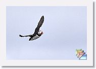 day01 * (128 Slides)