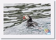 day08 * (191 Slides)