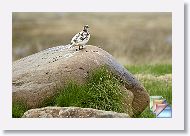 day09 * (127 Slides)