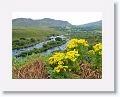 Driving the Ring of Kerry which traces the coastline of the Iveragh Peninsula