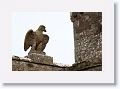 Cahir Castle