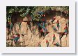 11MacawClayLick-072 * Red-and-Green Macaws * Red-and-Green Macaws