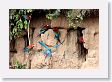 11MacawClayLick-128 * Red-and-Green Macaws * Red-and-Green Macaws