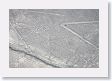 16NazcaLines-036 * North of the Condor is the Spider geoglyph * North of the Condor is the Spider geoglyph